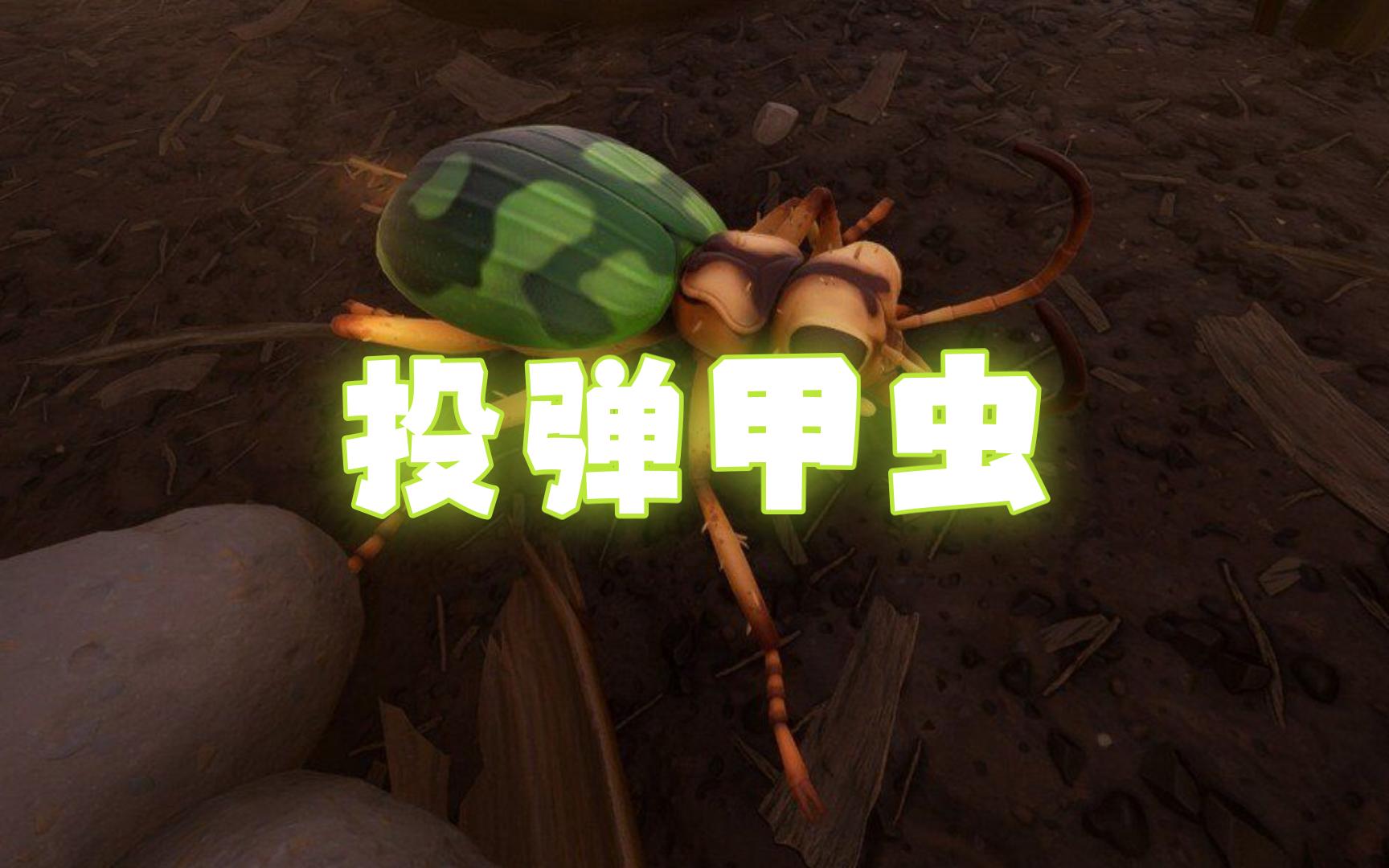 【禁闭求生资源收集系列】投弹甲虫
