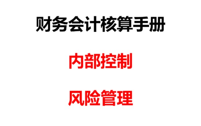 财务会计核算手册内部控制及风险管理哔哩哔哩bilibili