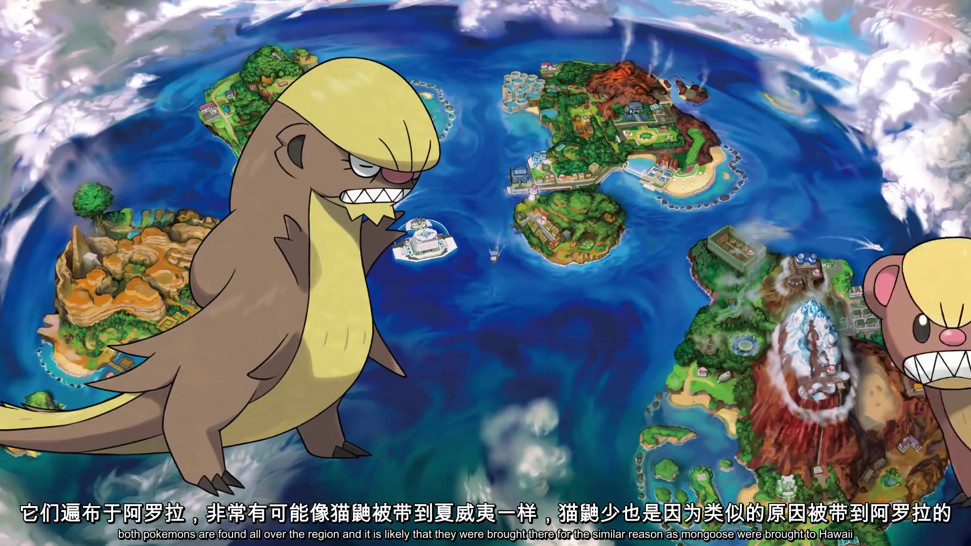 中文字幕宝可梦日月外来物种猫鼬少