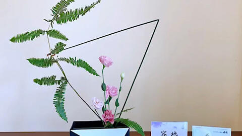 搜索 哔哩哔哩 つロ干杯 Bilibili