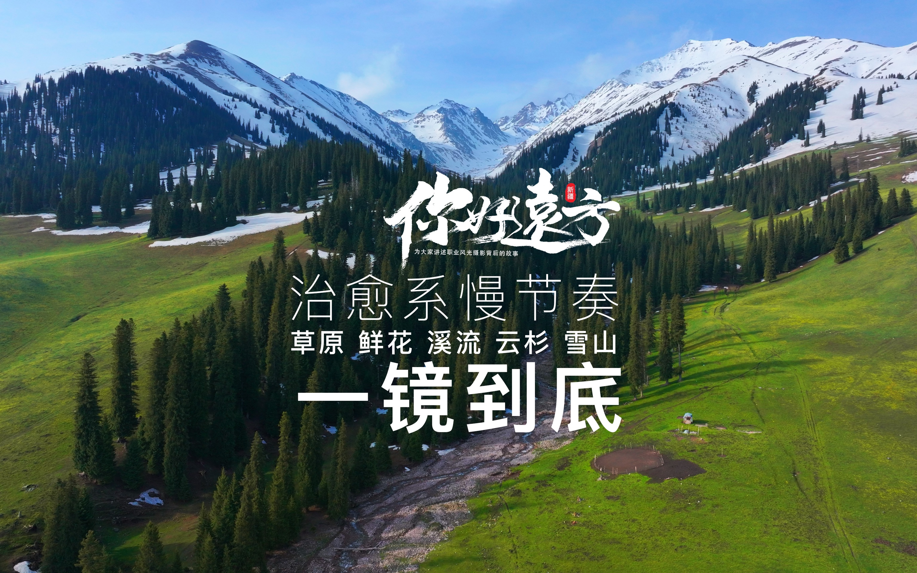 【一镜到底】治愈系慢节奏风景|雪山|草原|森林哔哩哔哩bilibili