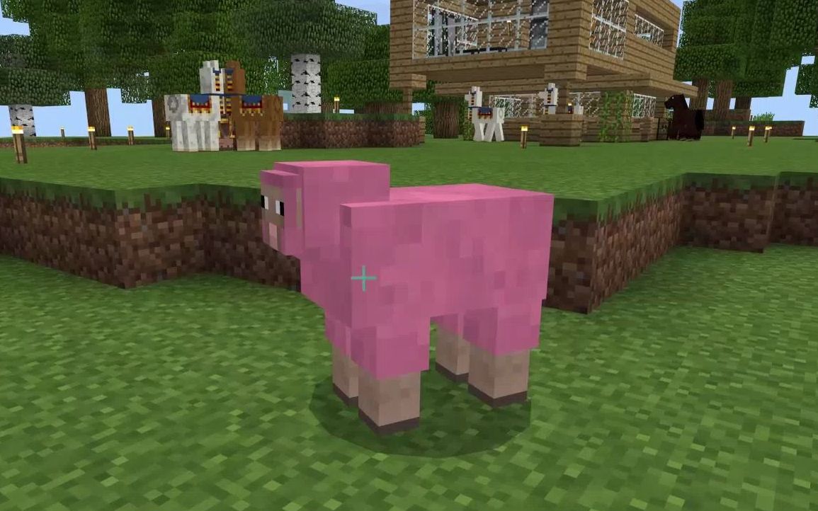 我遇到了野生的粉红羊!0.02%的几率!