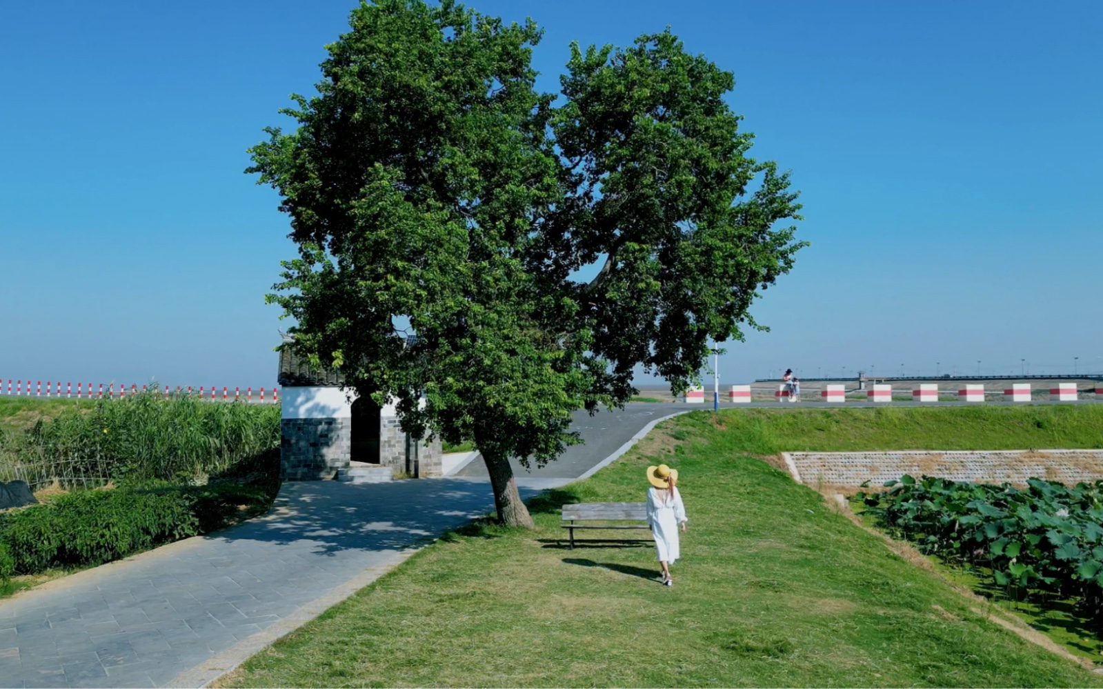 把心留在石臼湖草海