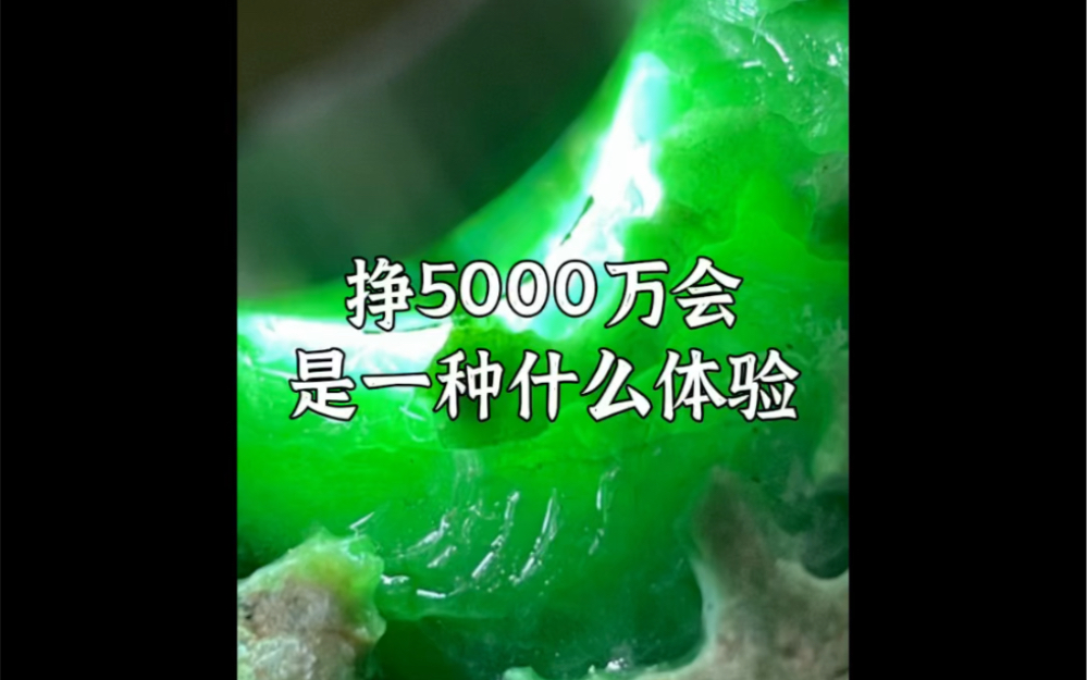 挣5000万会是一种什么体验哔哩哔哩bilibili