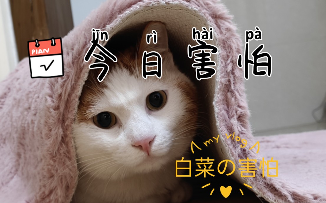 害怕!裹紧自己的小被子!