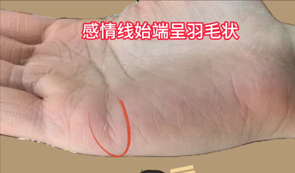 识人有术,感情线始端呈羽毛状