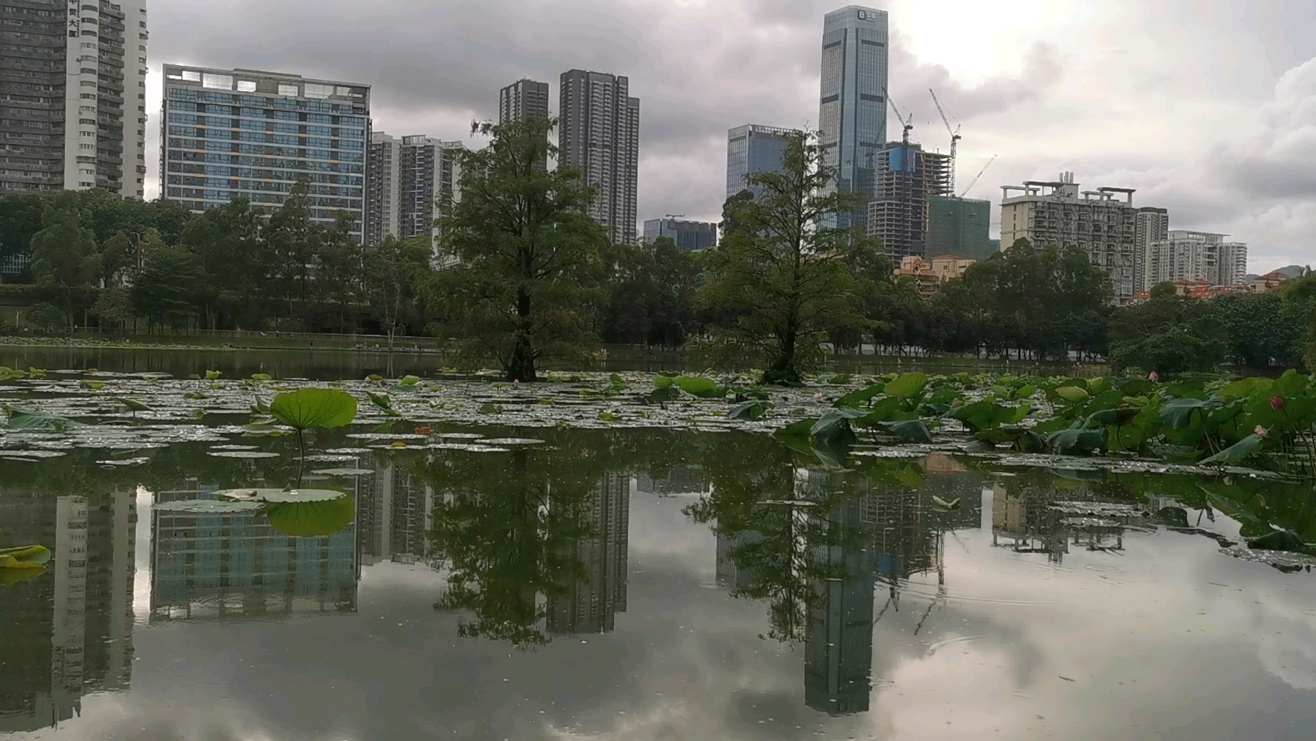 洪湖公园:景点介绍,水天一色心旷神怡