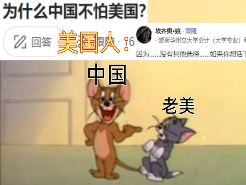 外國熱門提問,兔子為什麼不怕鷹醬?一個美國人的評論