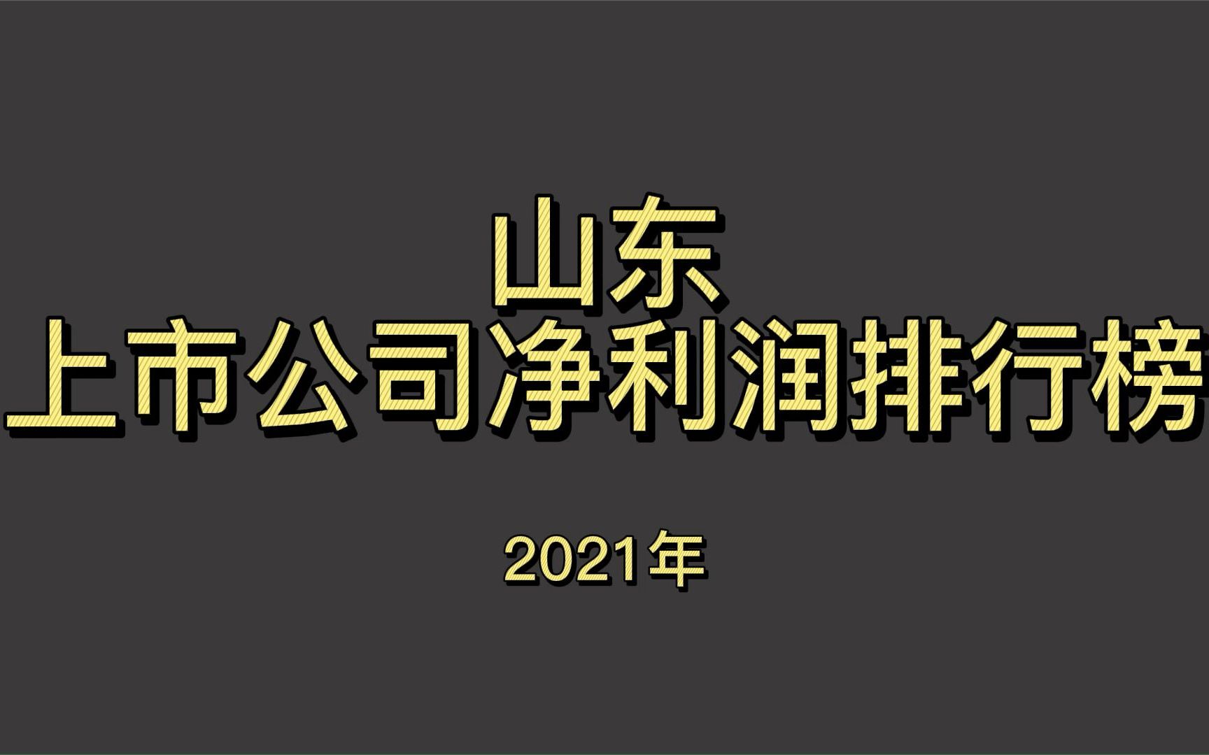 山东上市公司2021年净利润排行榜哔哩哔哩bilibili