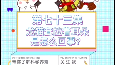 龙猫篇第73集:龙猫耷拉着耳朵是怎么回事?哔哩哔哩bilibili