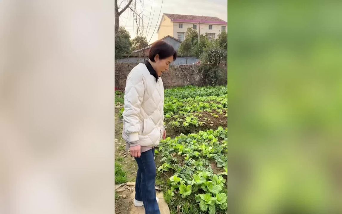 女子带韩国婆婆回湖南过年,拔萝卜摘白菜好幸福,羡慕鸡吃的健康