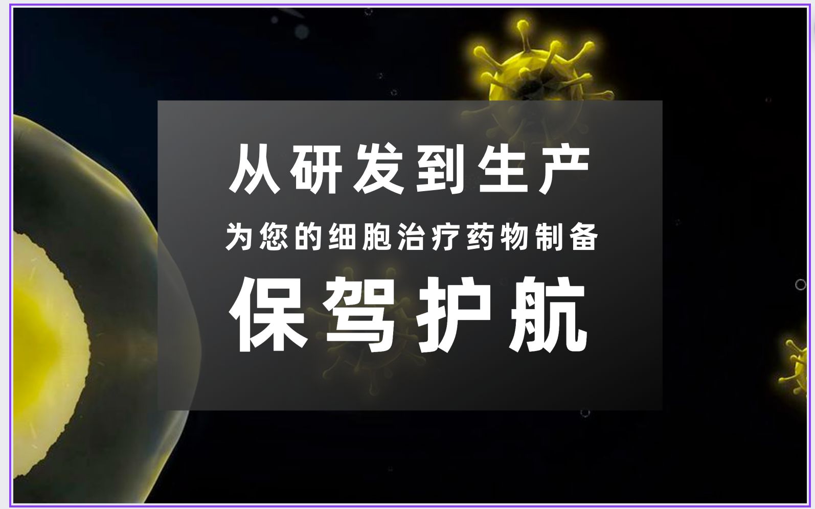 从研发到生产,为您的细胞治疗药物制备保驾护航哔哩哔哩bilibili