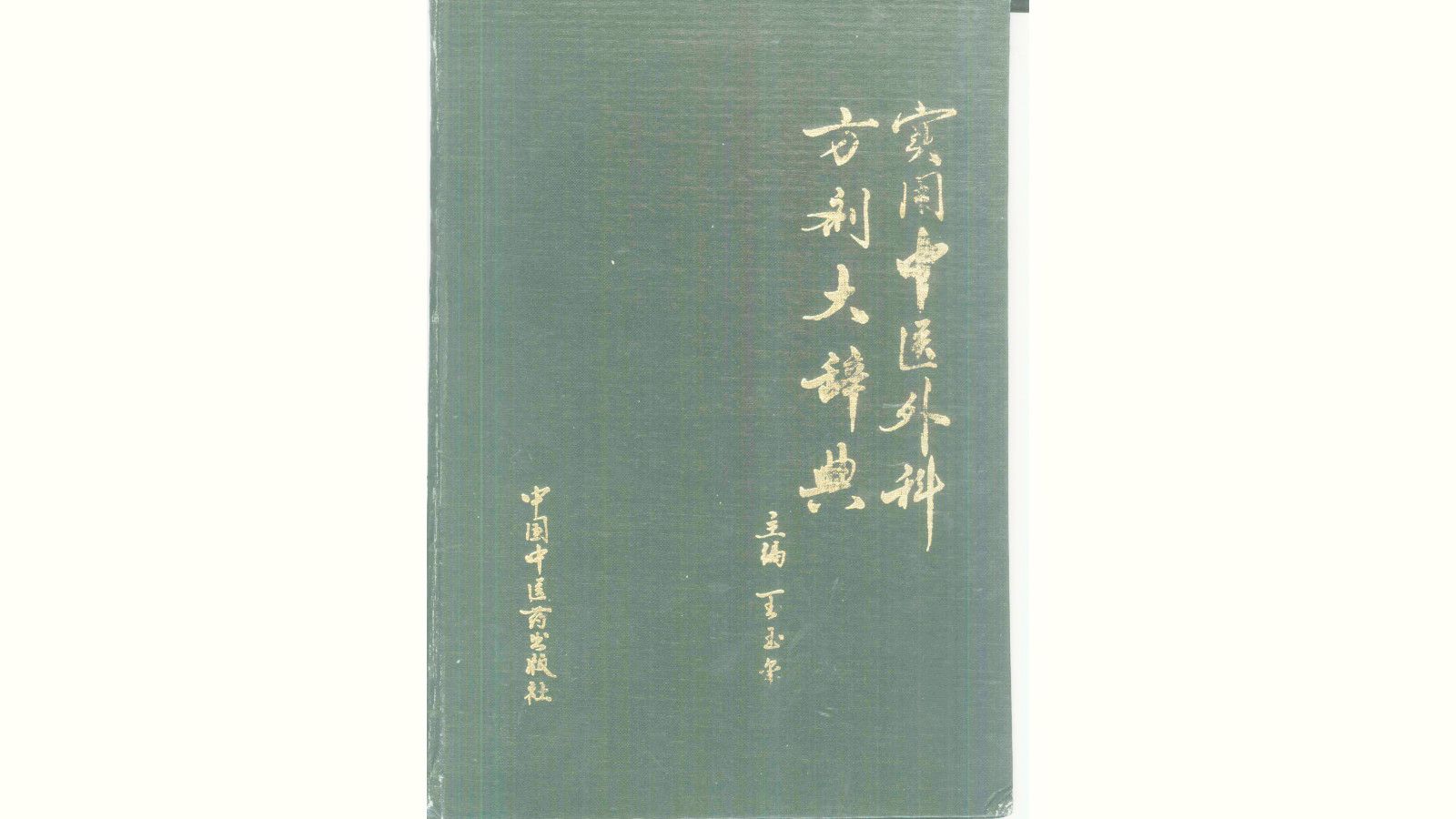 《实用中医外科方剂大辞典》王玉玺等编著中医电子书PDF哔哩哔哩bilibili