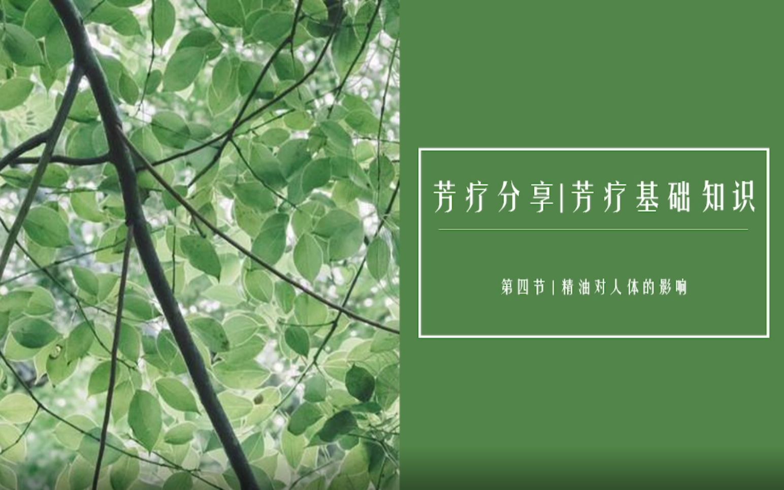 第一单元 | 第四节 | 精油对人体的影响哔哩哔哩bilibili