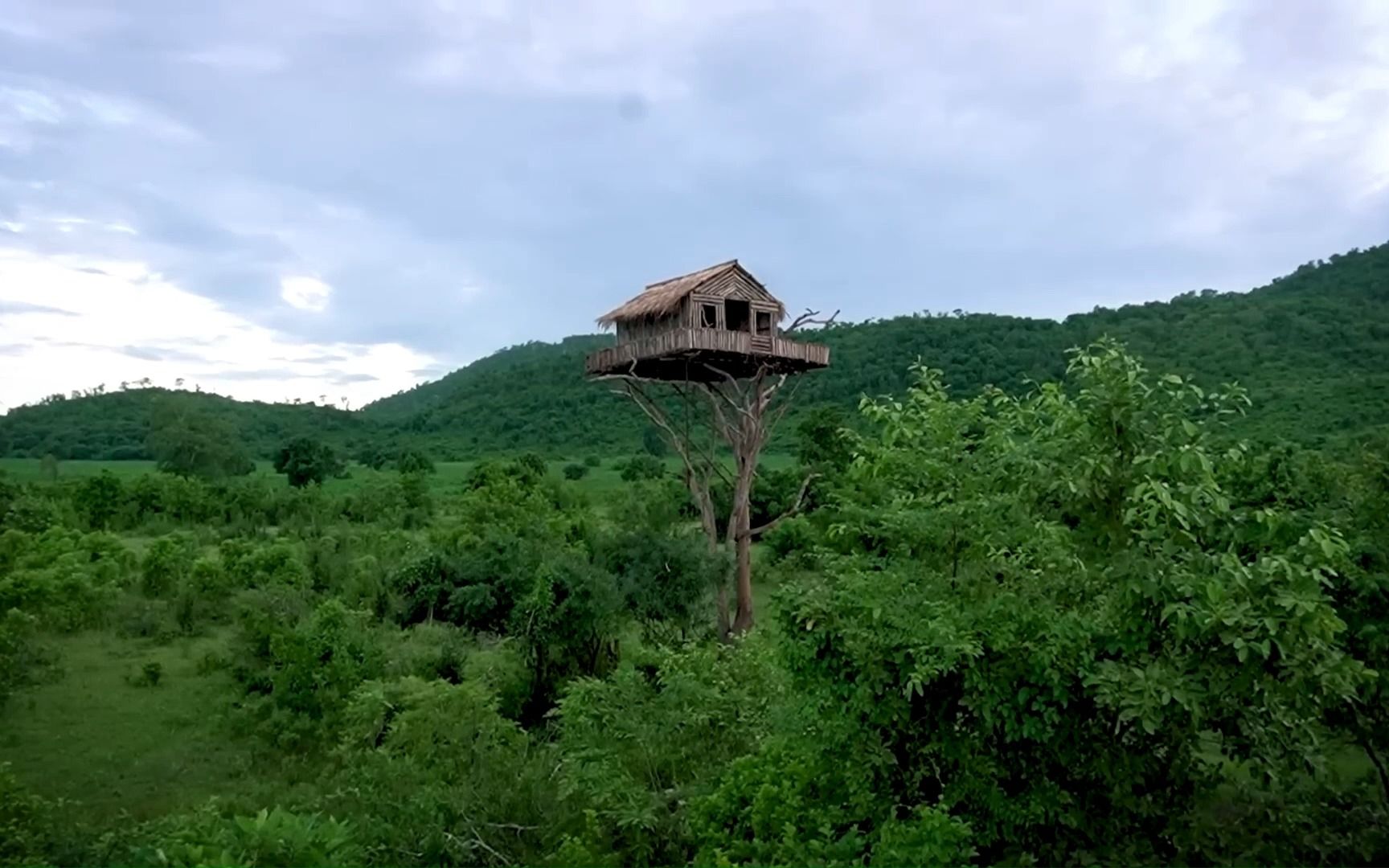两兄弟在森林树上建造木屋