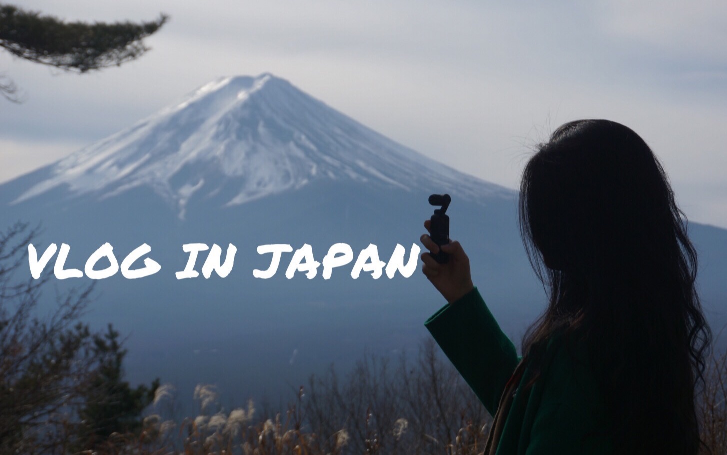 vlog in japan | 富士山下·東京漫步