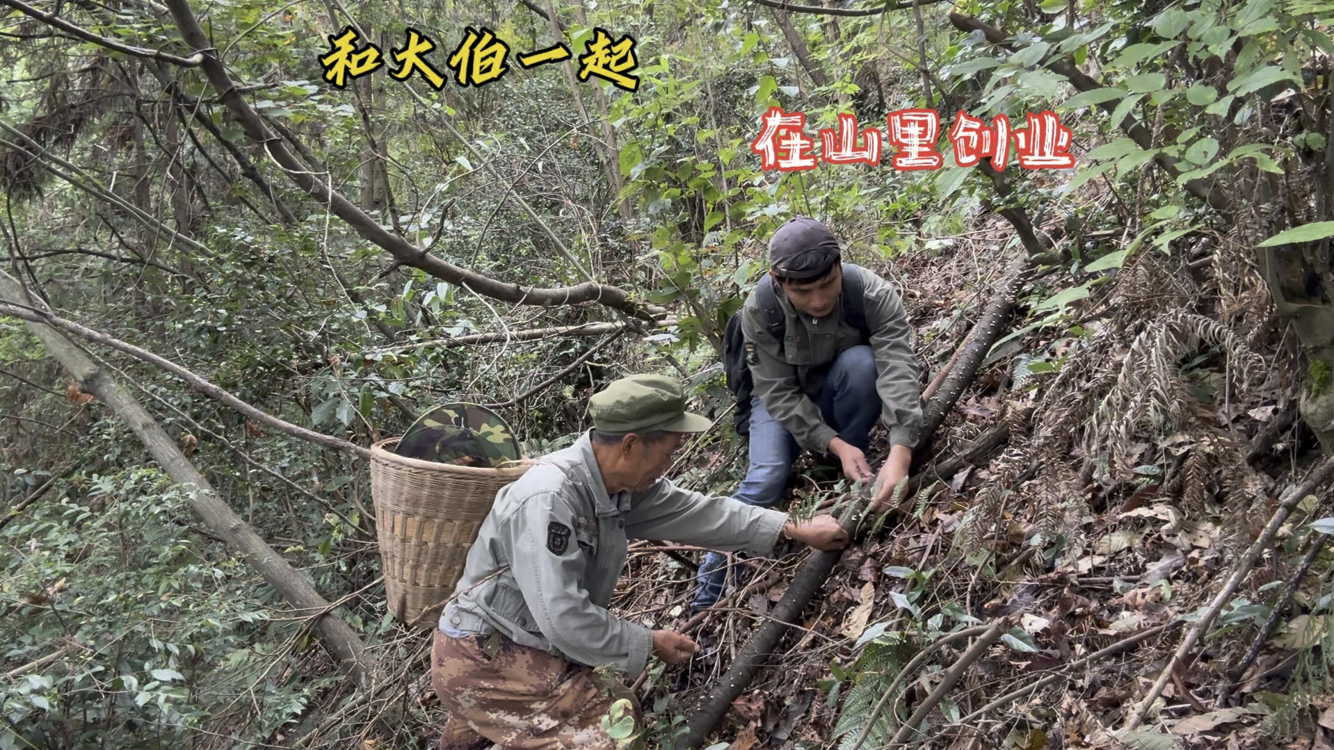 村里人都去城里生活了,我和大伯留在大山里创业,日子平凡而快乐哔哩哔哩bilibili