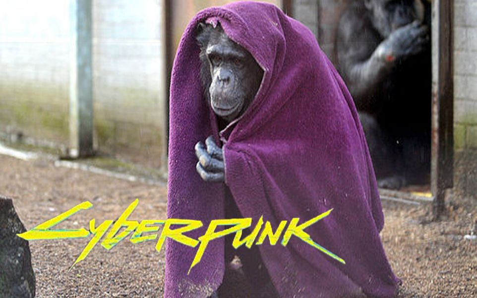 赛博朋克2077 动物特供