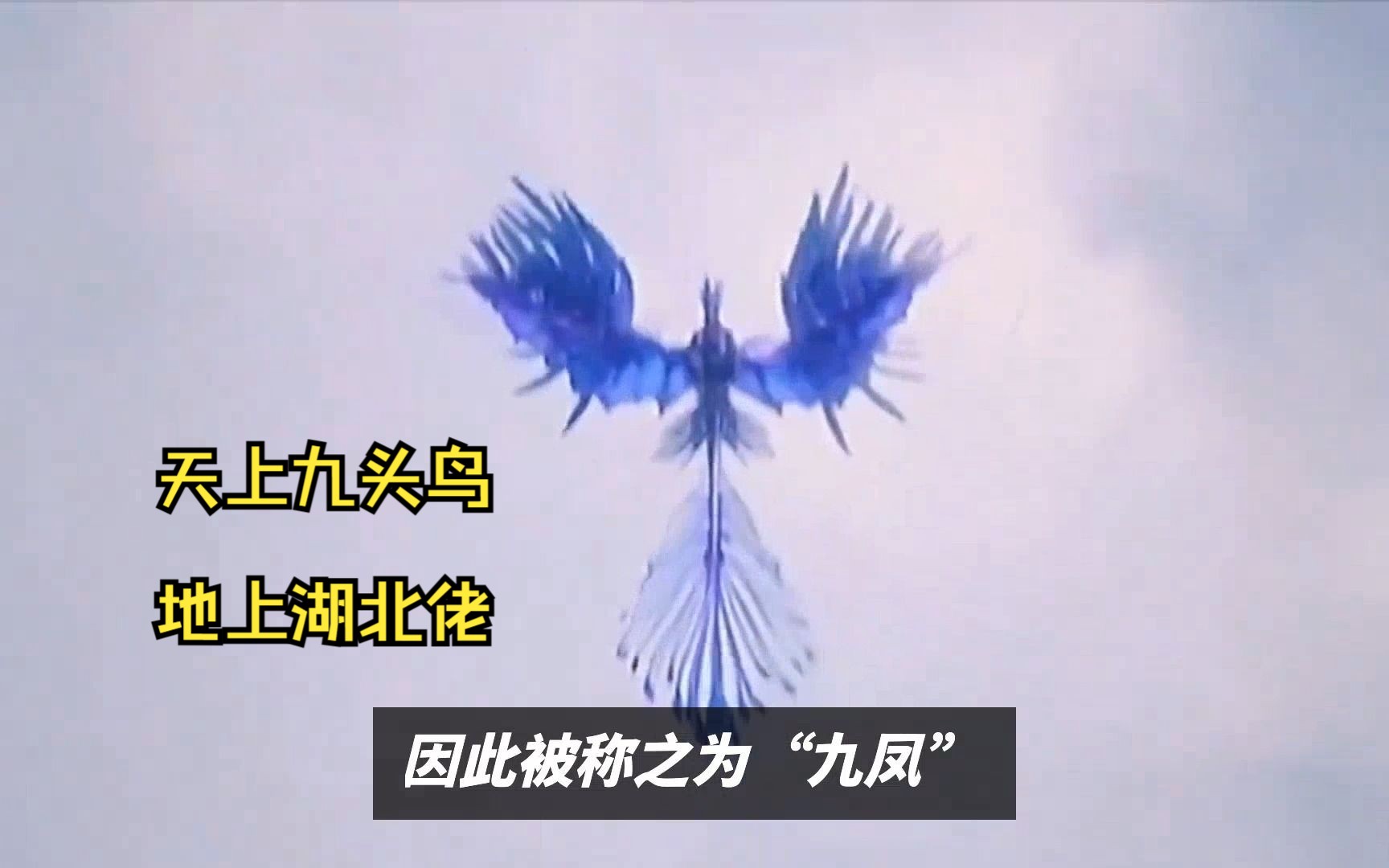 "天上九头鸟,地上湖北佬"是什么意思?并不是骂人的话