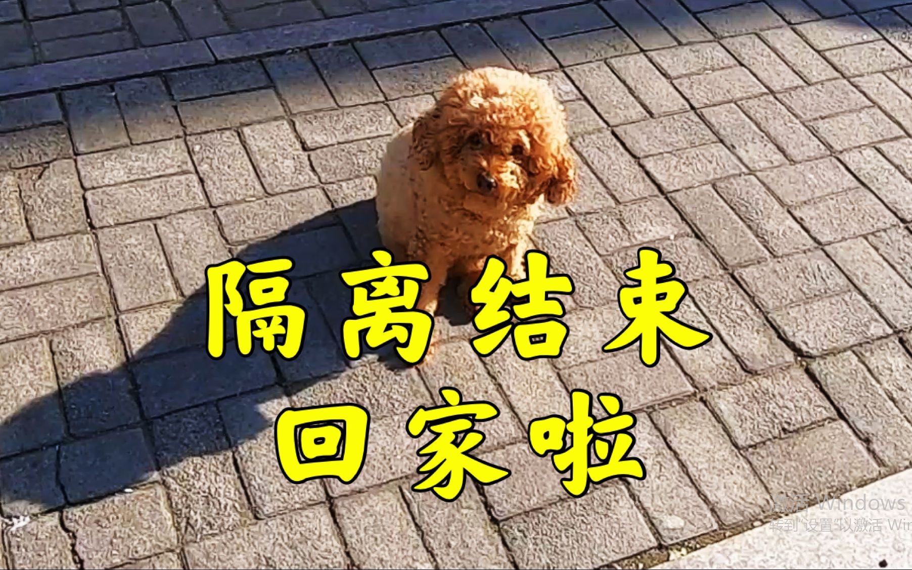 17天的酒店隔离终于结束,安全到家