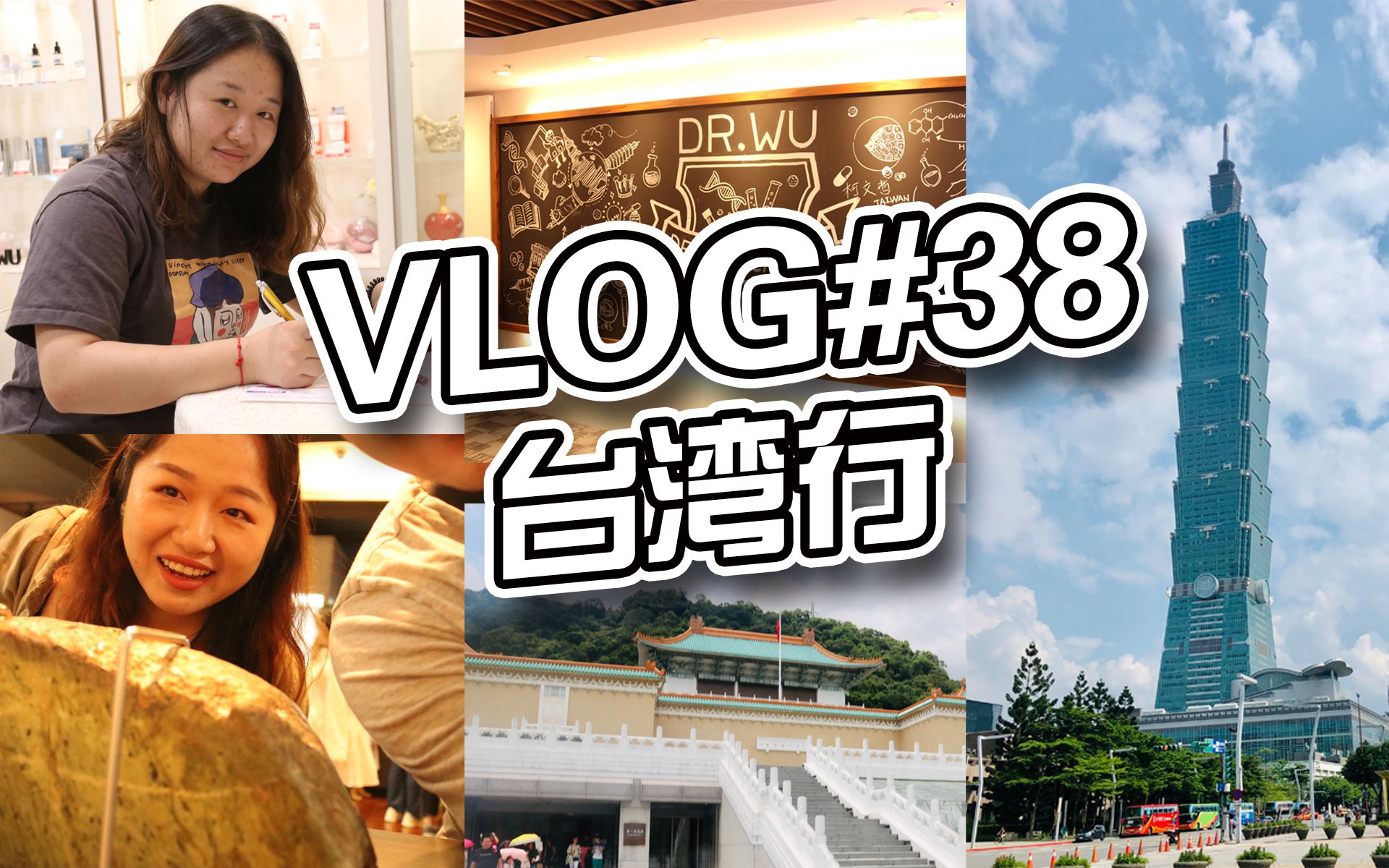 vlog#38:台湾行 | 收到DR.WU邀请|台湾好吃的也太多了吧|买了超级多的东西!哔哩哔哩bilibili