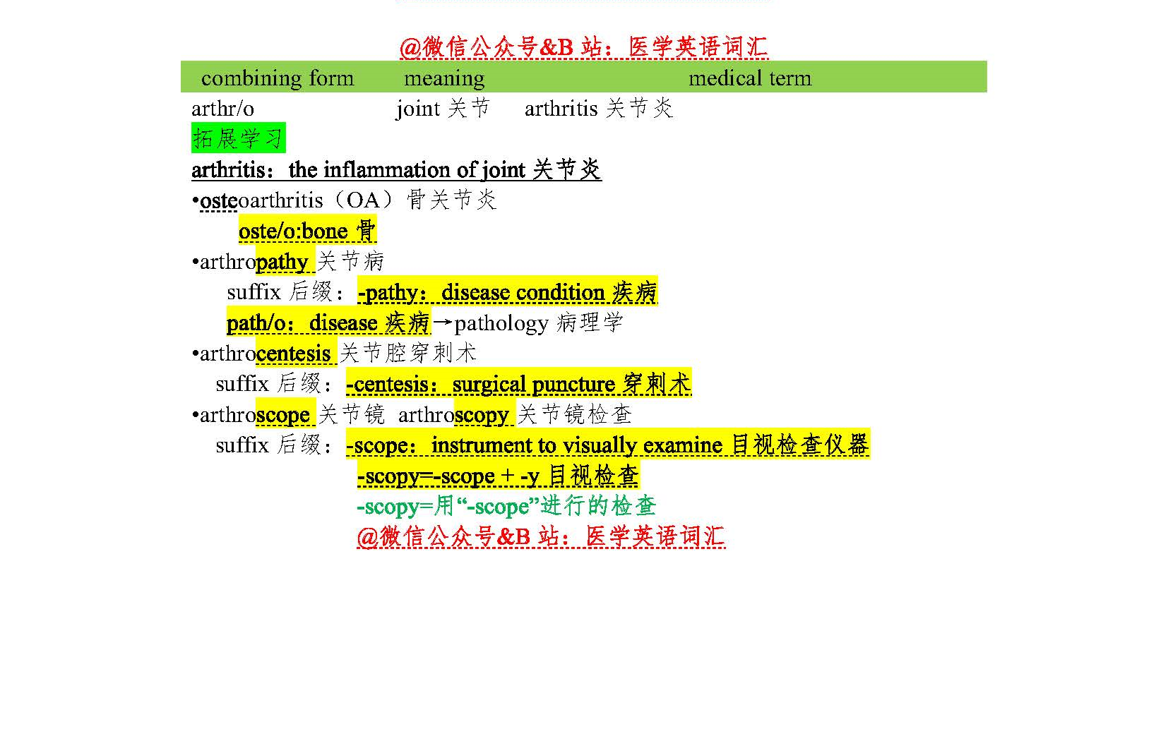 【医学英语词汇】滴水穿石哔哩哔哩bilibili