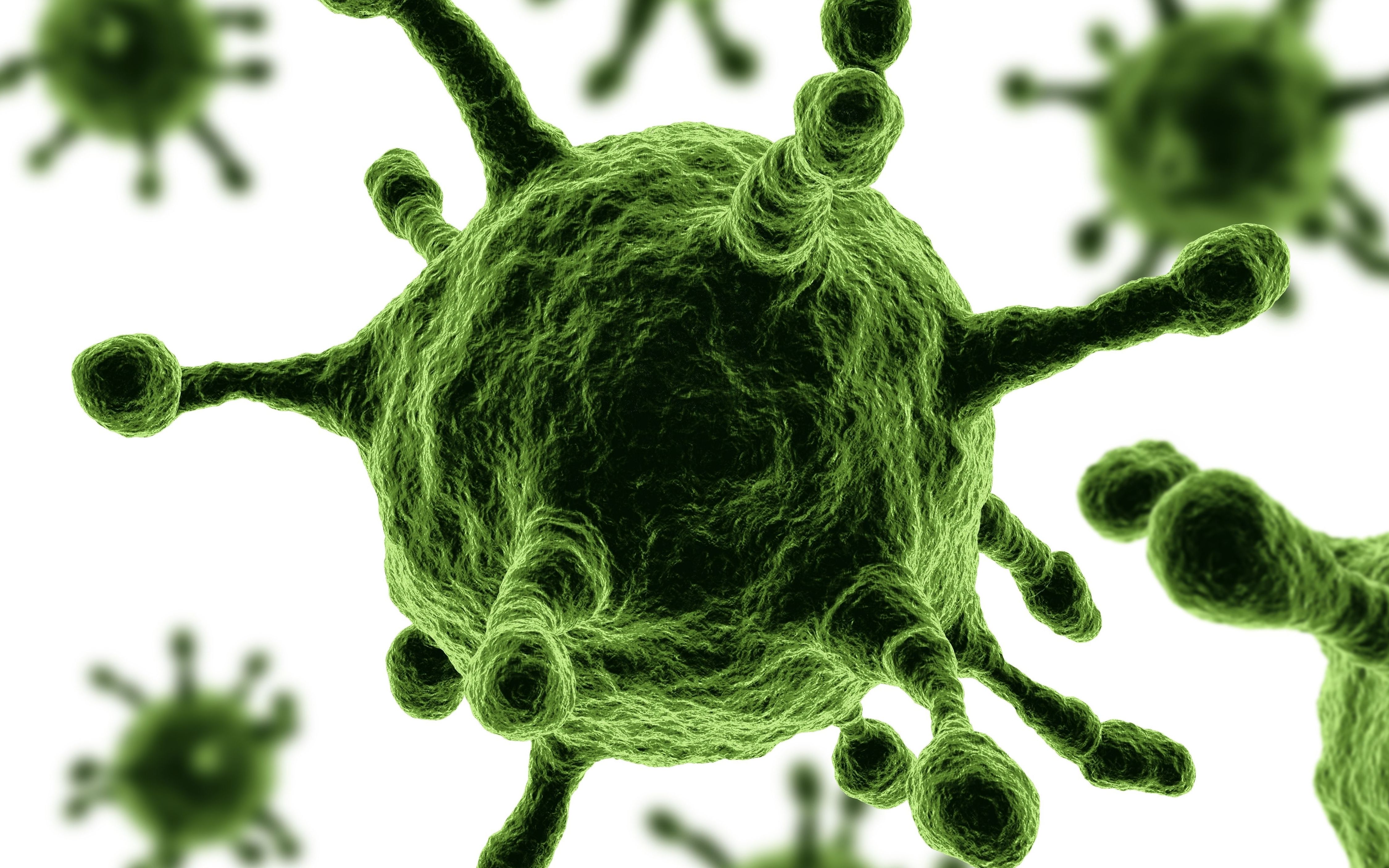 如果出现全球性的传染病会发生什么?what if we had a worldwide pand