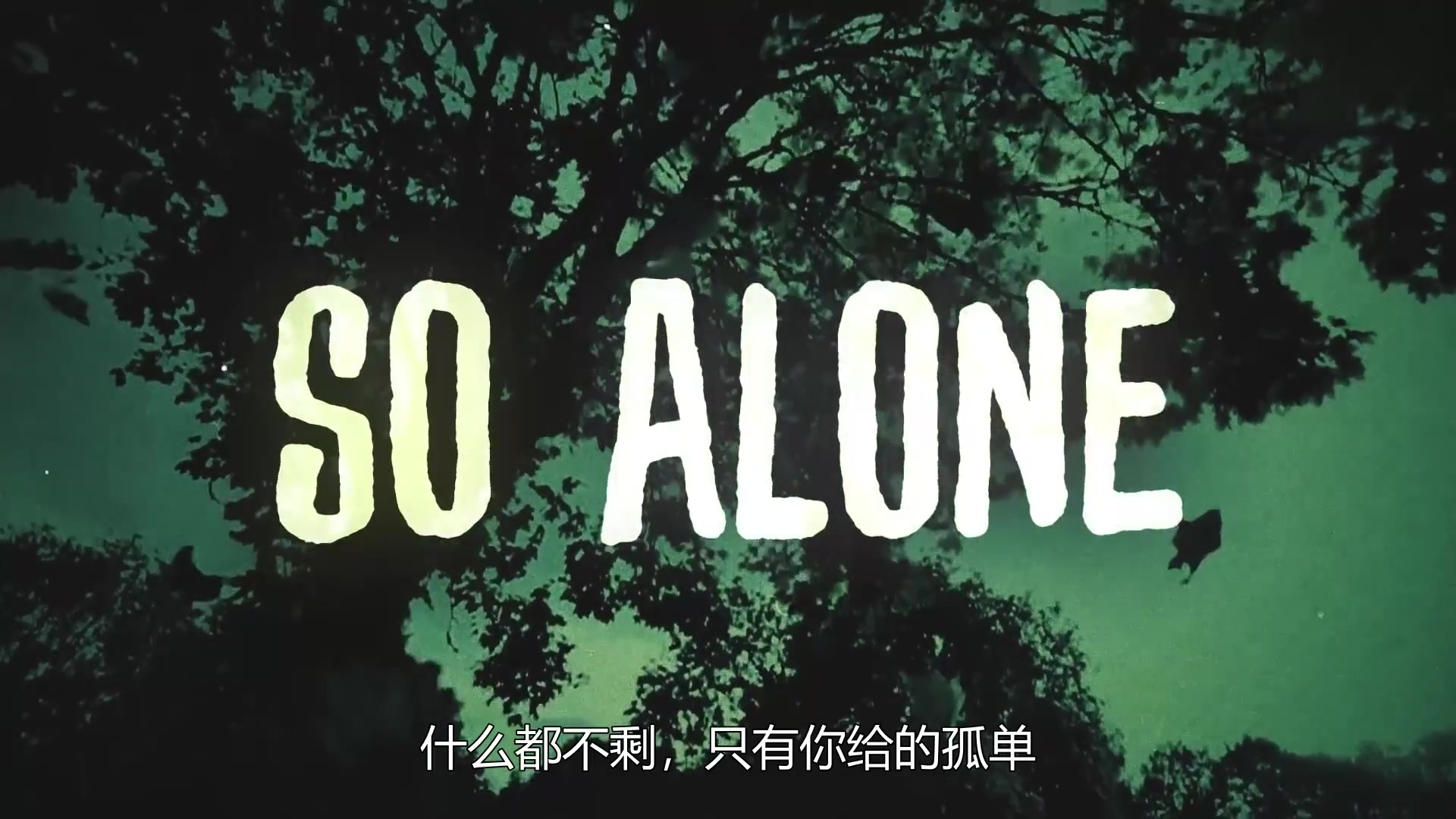 [图]【中文歌词】Anson Seabra - Robin Hood (Official Lyric Video)