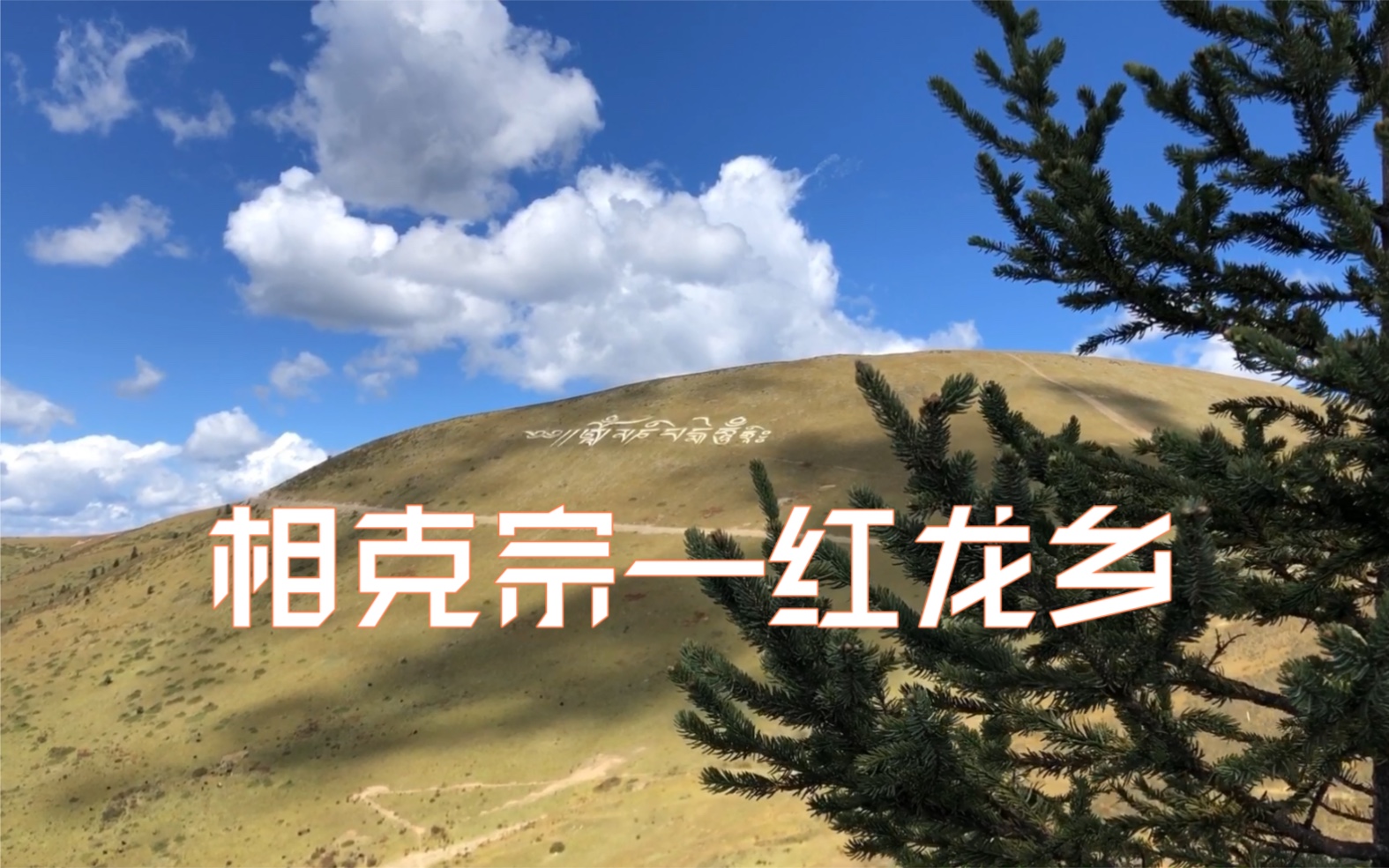 [图]【川藏线骑行08】#DAY7，相克宗—红龙乡，里程80km，沿路欣赏318国道两旁的山林草原景色