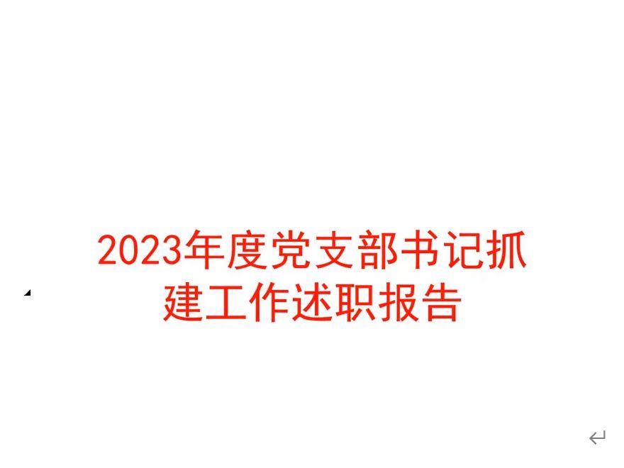 2023年度党支部书记抓党建工作述职报告哔哩哔哩bilibili