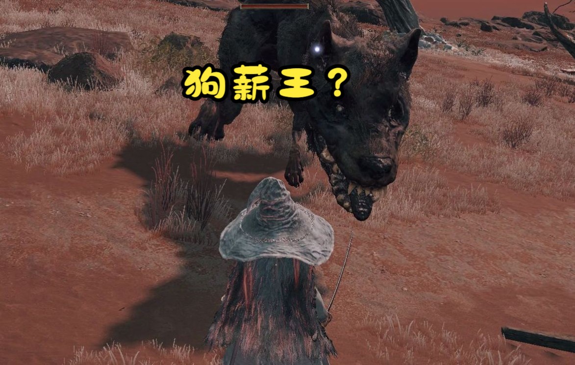 艾尔登法环:遇到狗薪王怎么办?