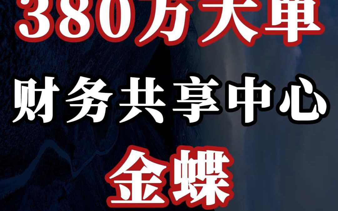 380 万、财务共享中心大单:金蝶(中)哔哩哔哩bilibili