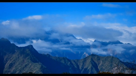 [图]欧亨利短篇小说集，带家具的出租房，人生必看小说集。讲给自己的睡前故事