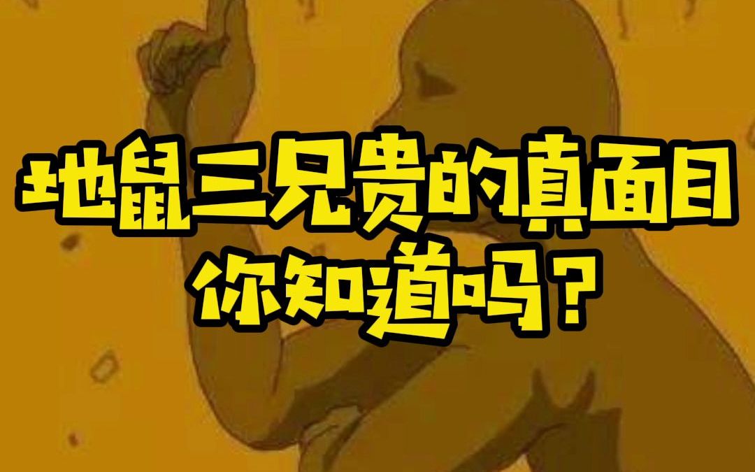 【精灵宝可梦】地鼠三兄贵的真面目哔哩哔哩bilibili