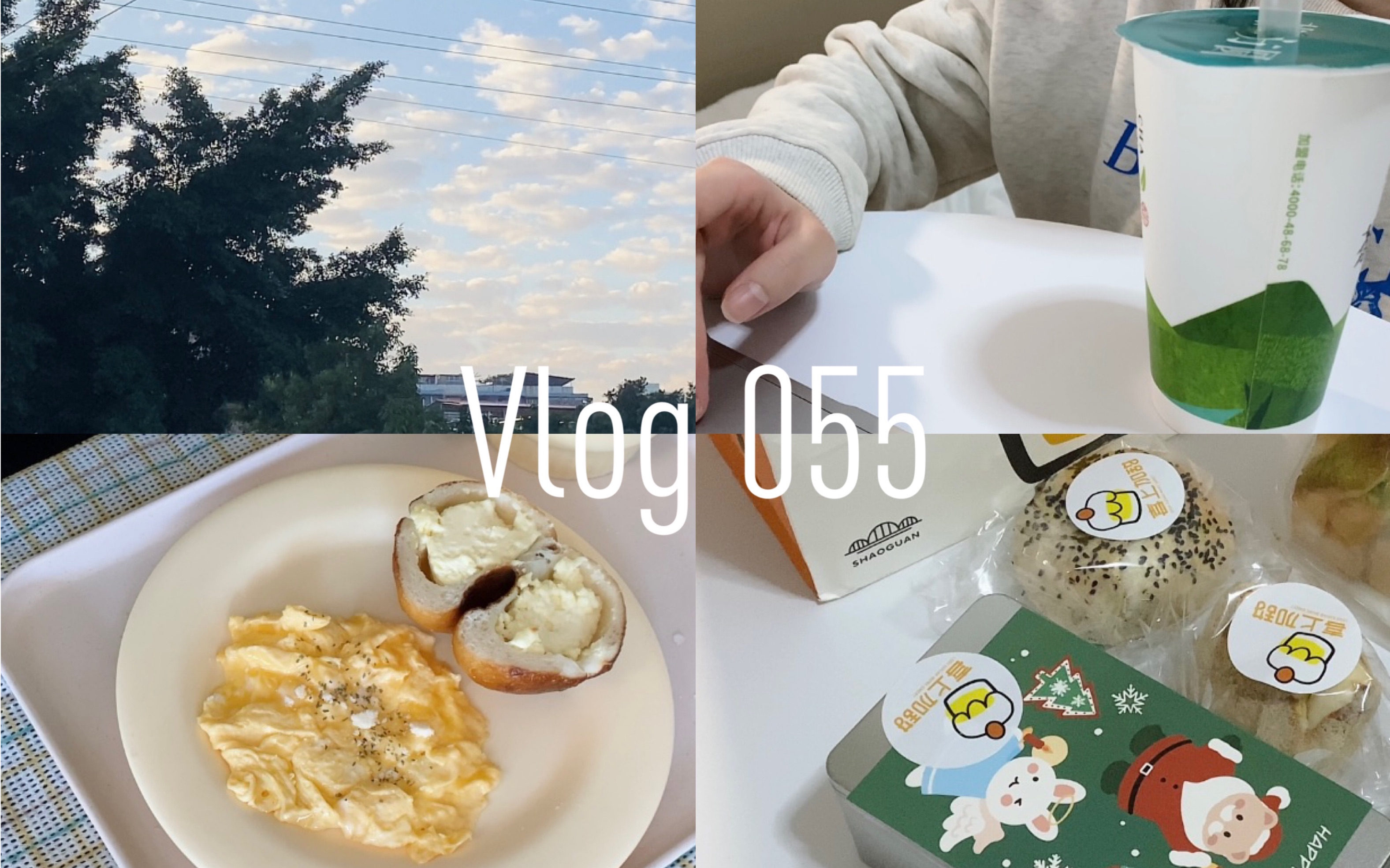 [图]人间生活记录｜日常Vlog 055｜2023年第一个视频｜三文鱼炒饭｜阳康后“离奇”的复工｜虚无的圣诞｜黄油滑蛋｜买面包的面包国国王｜快递开箱｜饮食记录