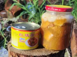 Descargar video: 末日废土美食之猪肉炖粉条