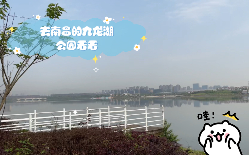 去南昌的九龙湖公园看看,免费的,工作日来没什么人很安静,空气很好,鸟