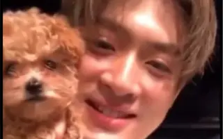 Po酱 搜索结果 哔哩哔哩 Bilibili