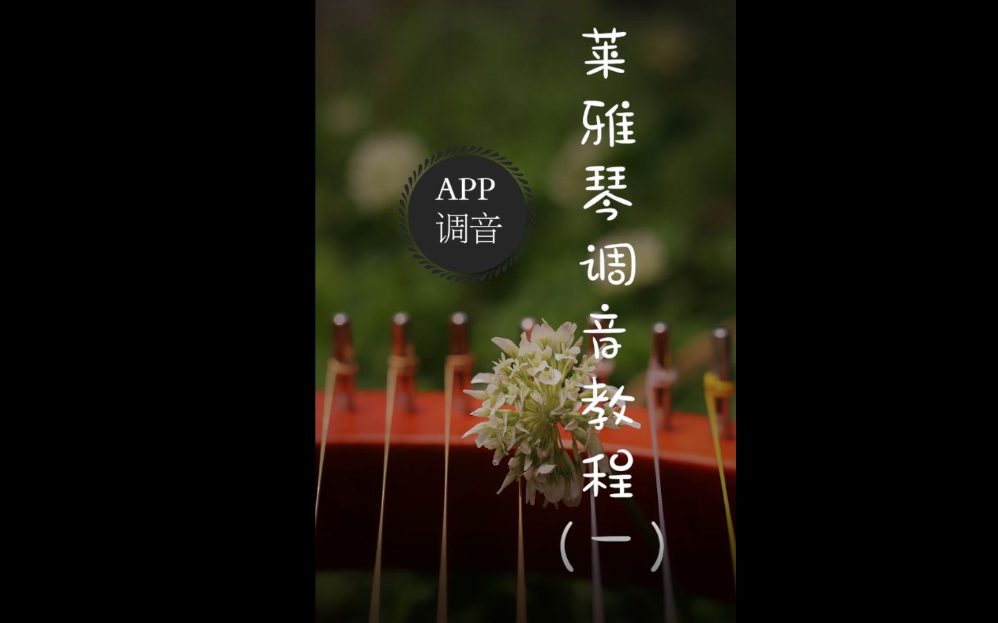 莱雅琴调音教程(一) app调音