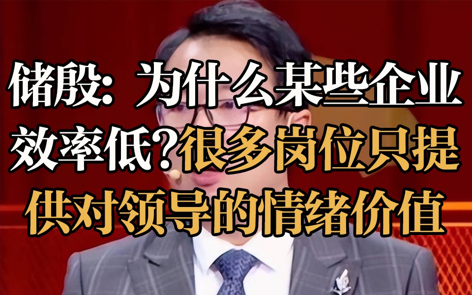 为什么某些企业效率低?储殷:因为很多岗位只提供对领导的情绪价值哔哩哔哩bilibili