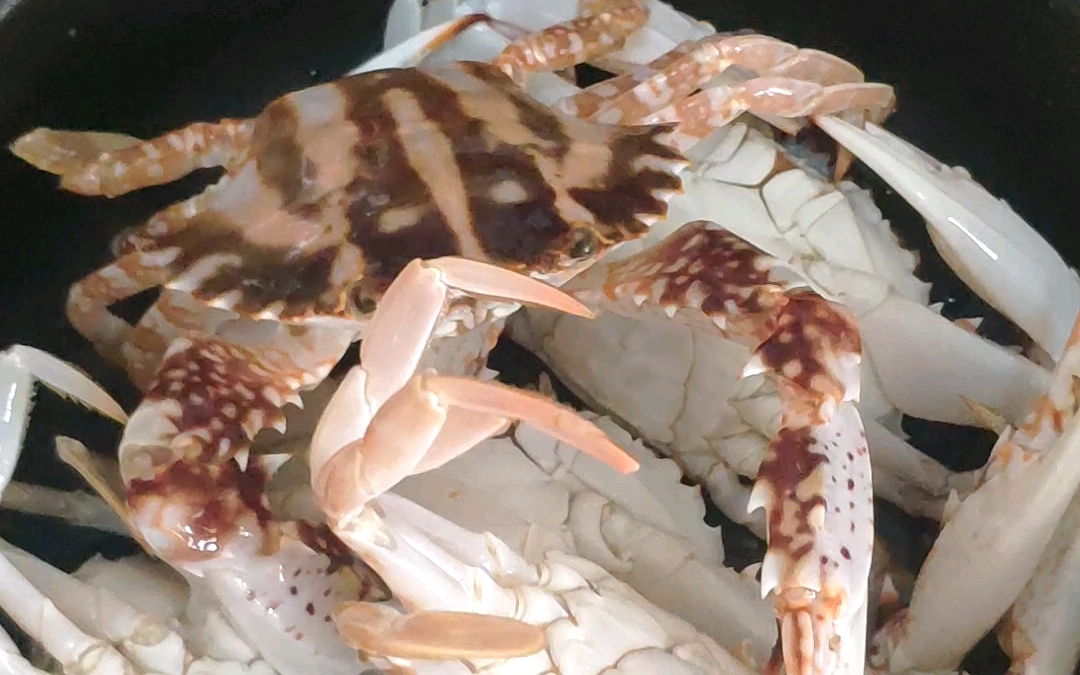 今日美食:指定酱油鸭,还要碰巧遇到的肥美红花蟹,爆肥,值了.