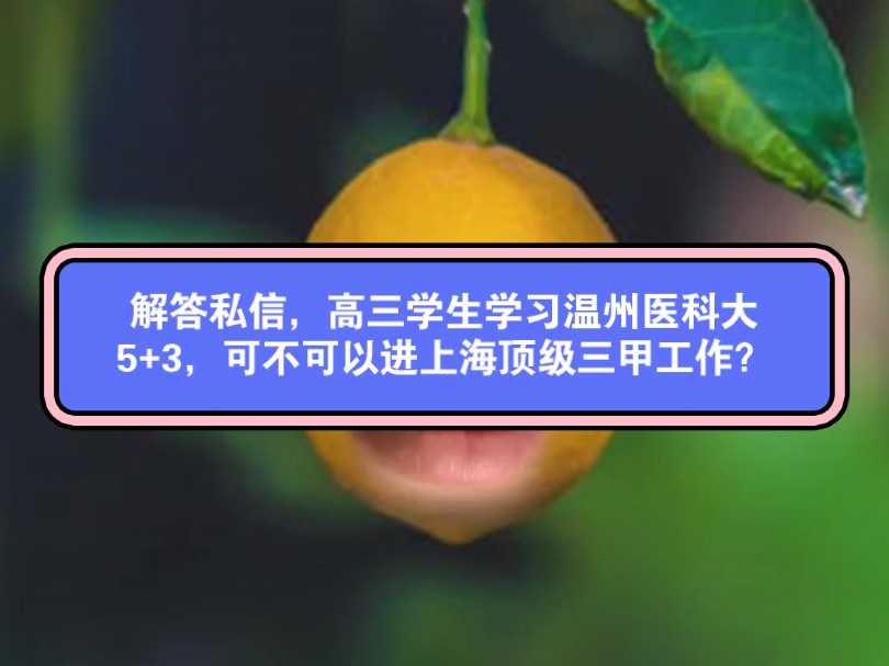 解答私信,高三学生学习温州医科大5+3,可不可以进上海顶级三甲工作?哔哩哔哩bilibili