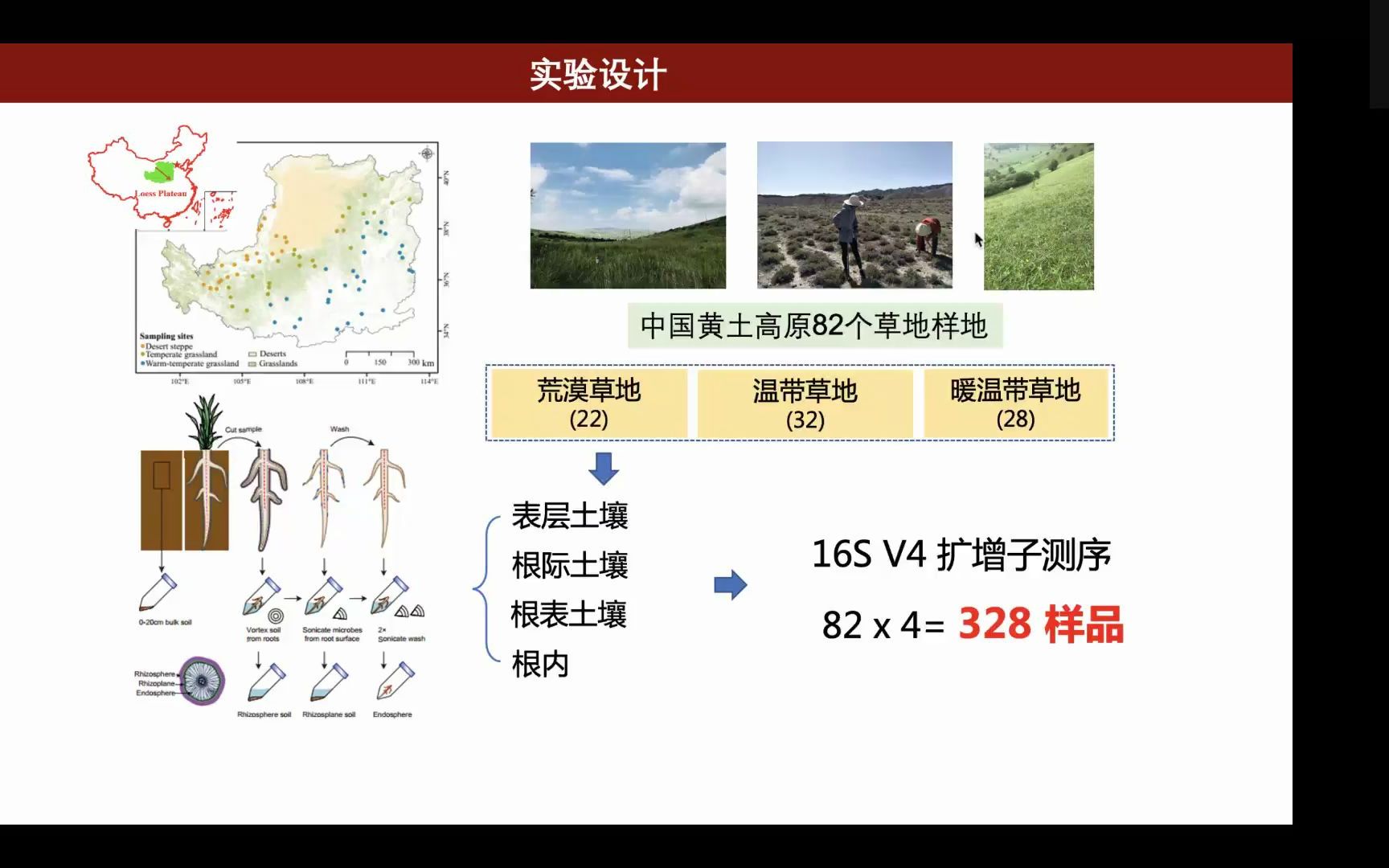 iMeta|西工大钟杨权威等根系菌群沿环境梯度的响应机制哔哩哔哩bilibili