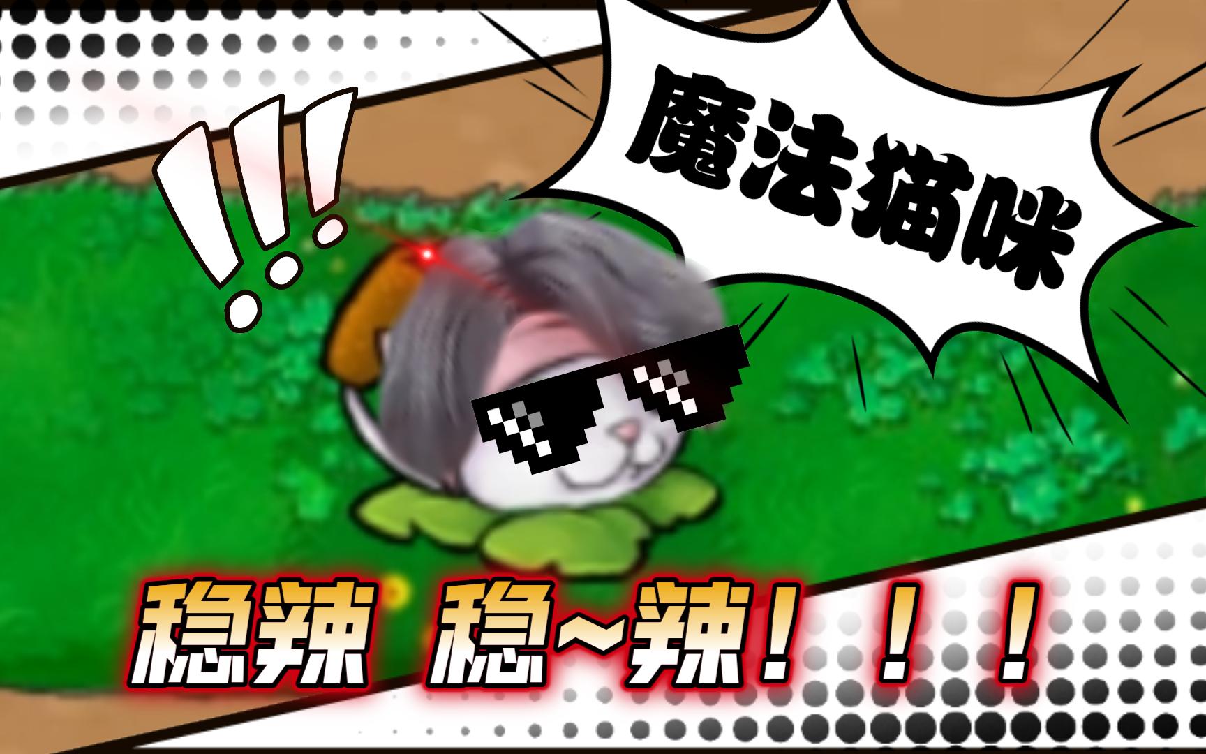 第一发就出魔法猫咪?