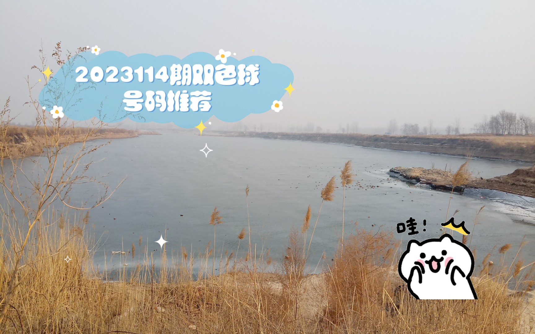 2023114期双色球号码推荐哔哩哔哩bilibili