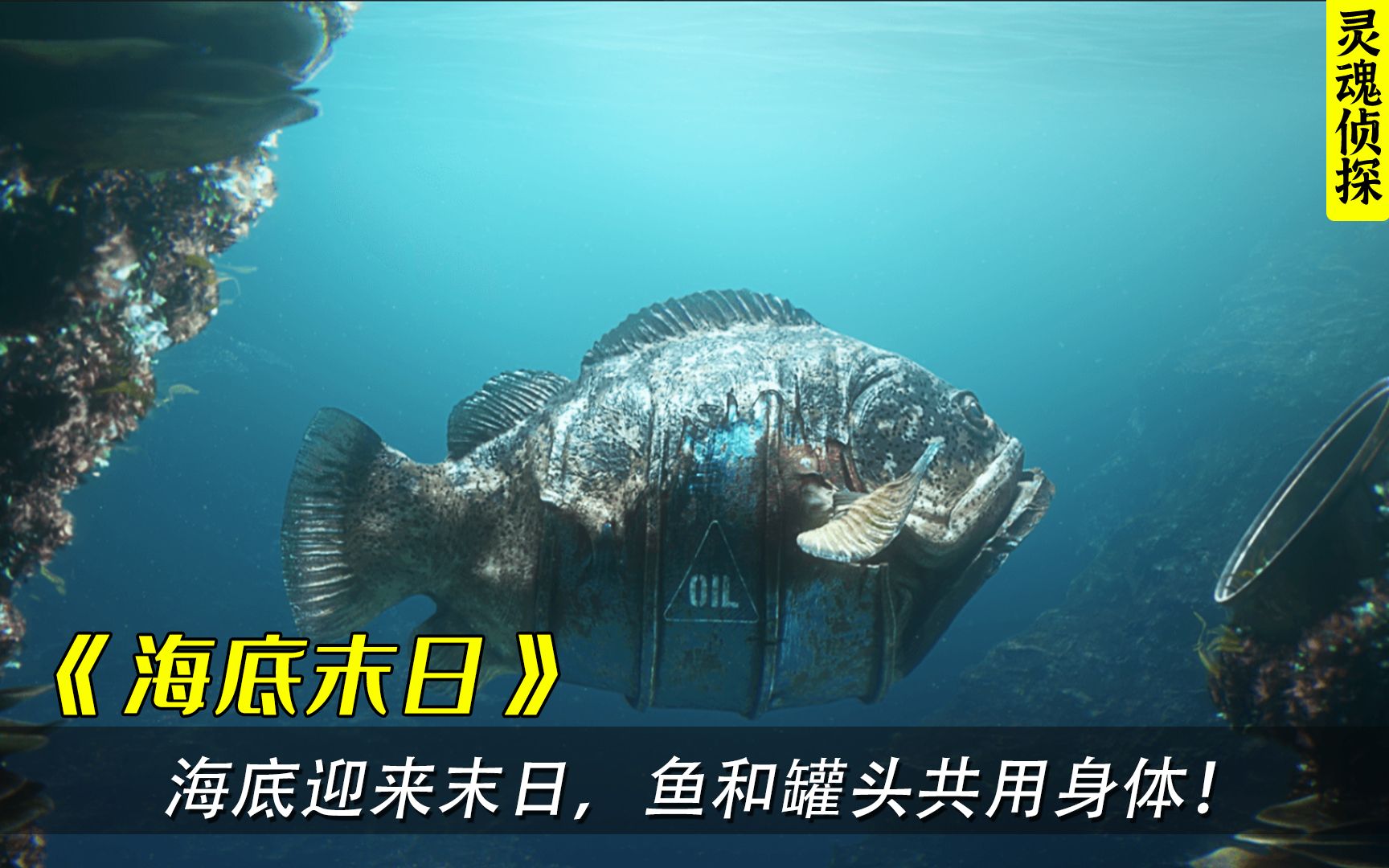 [图]海底末日多恐怖？海洋生物和垃圾共用身体，不料陆地上更触目惊心！