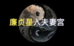 Download Video: 【廉贞星入夫妻宫】夫妻宫看配偶，紫微斗数学习