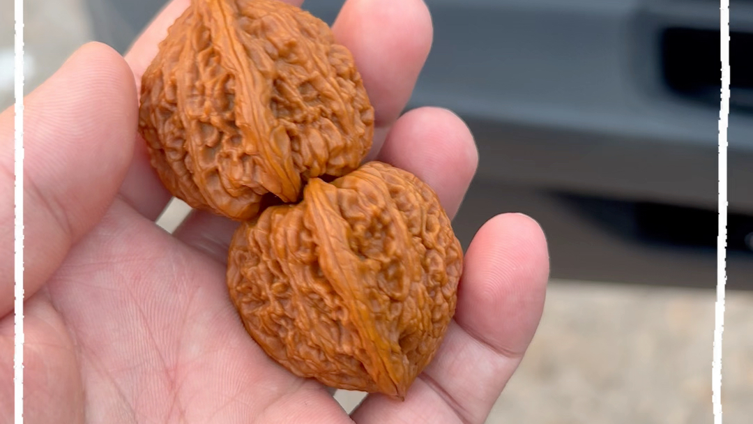 承德密纹狮子头核桃不打底手盘第四天走色记录