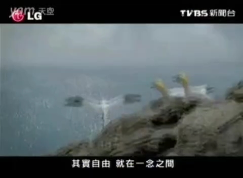 2009.12.01 TVBS新闻台《最前线新闻》中场广告哔哩哔哩bilibili