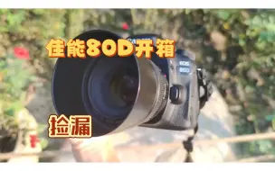 Download Video: 【开箱】2600买的佳能80D开箱，顺带拍人试试效果